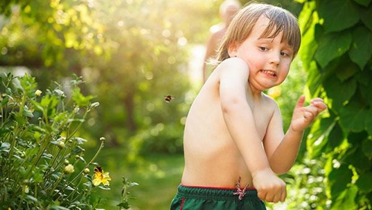 toddler boy scared of stinging insects