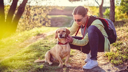 a person with their dog that has fleas and ticks