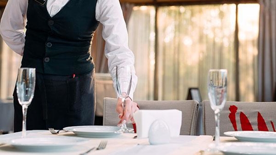 pest control for business