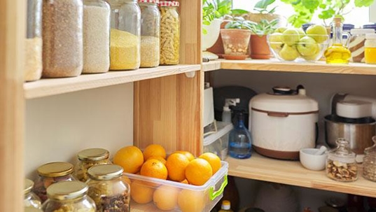 pest free pantry