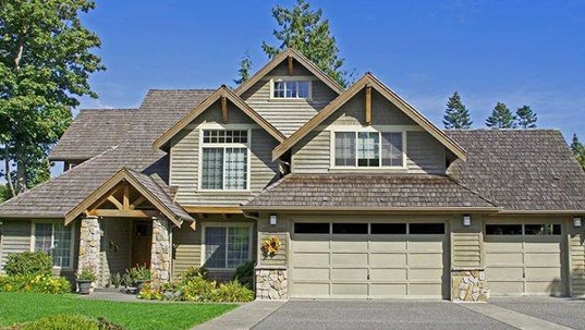 professional pest control