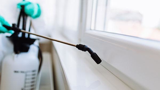 a commercial pest control treatment