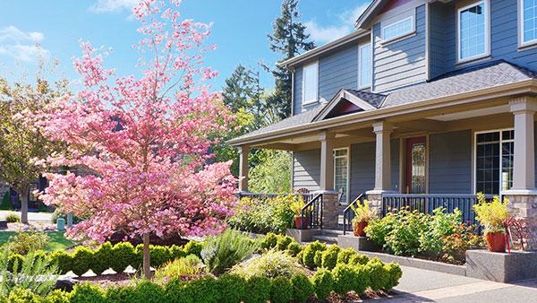 fort worth home with pink tree out front