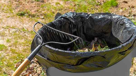 spring cleaning a yard for pest prevention