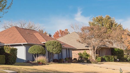 sugarland home pest control