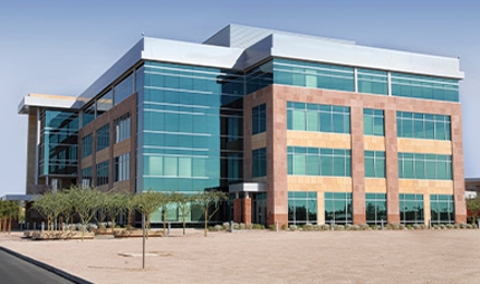 Commercial Pest Control